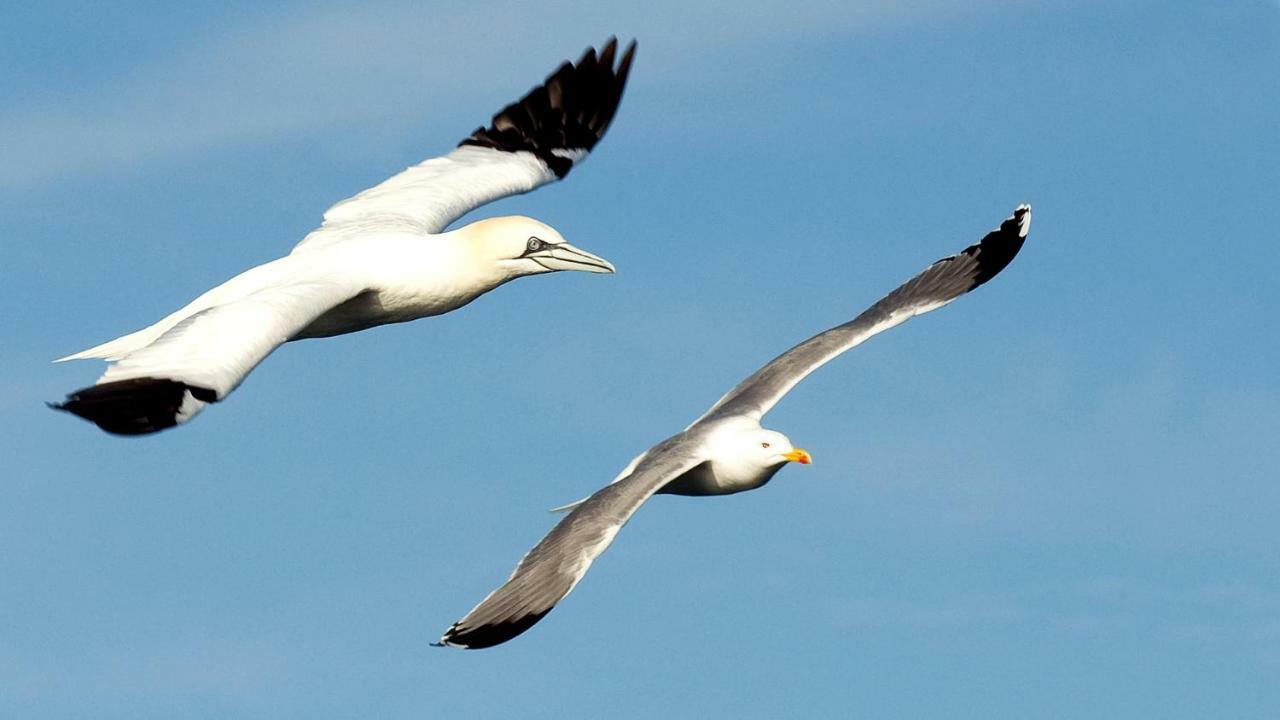 كاستيلو دي إمبوريس Can Gaita المظهر الخارجي الصورة